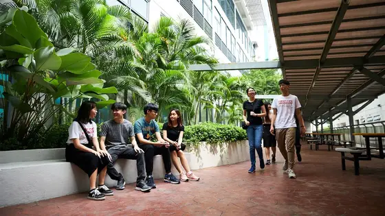 First City University College — 校园照片（来自 Google 地图）