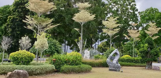 Linton University College — 校园照片（来自 Google 地图）