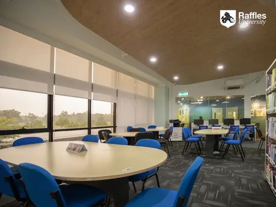 Raffles University — 校园照片（来自 Google 地图）