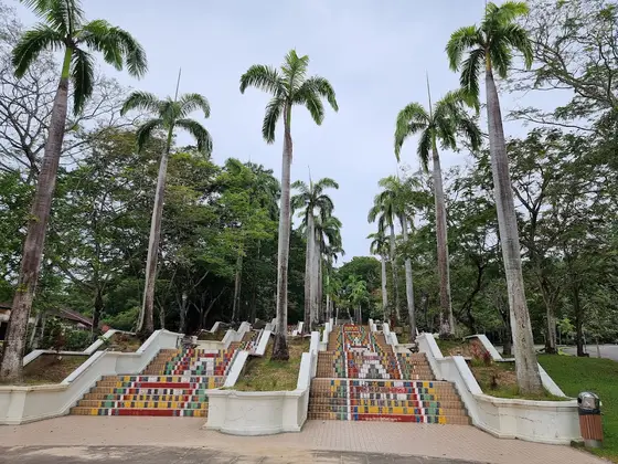 Universiti Malaysia Sabah (UMS) — 校园照片（来自 Google 地图）