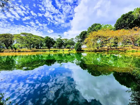 Universiti Sains Malaysia (USM) — 校园照片（来自 Google 地图）