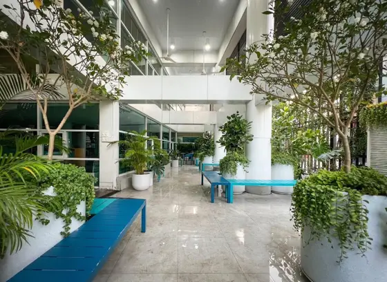 International Christian School Nonthaburi (ICSN) — 照片来自 Google 地图