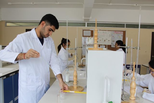 International Pioneers School (IPS) — 校园照片（来自 Google 地图）