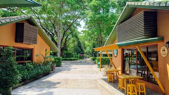 Prem Tinsulanonda International School (Prem/PTIS) — 사진은 Google Maps를 통해