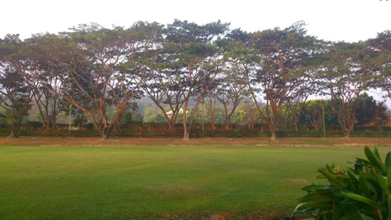 Prem Tinsulanonda International School (Prem/PTIS) — 사진은 Google Maps를 통해