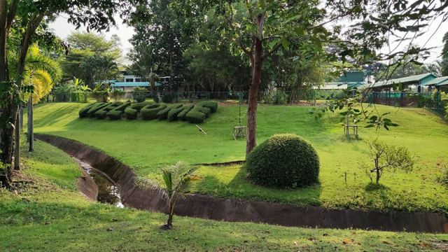 St Andrews International School — Green Valley — 校园照片（来自 Google 地图）
