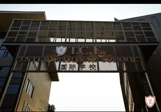 TCE International School — 写真は Google Maps 経由