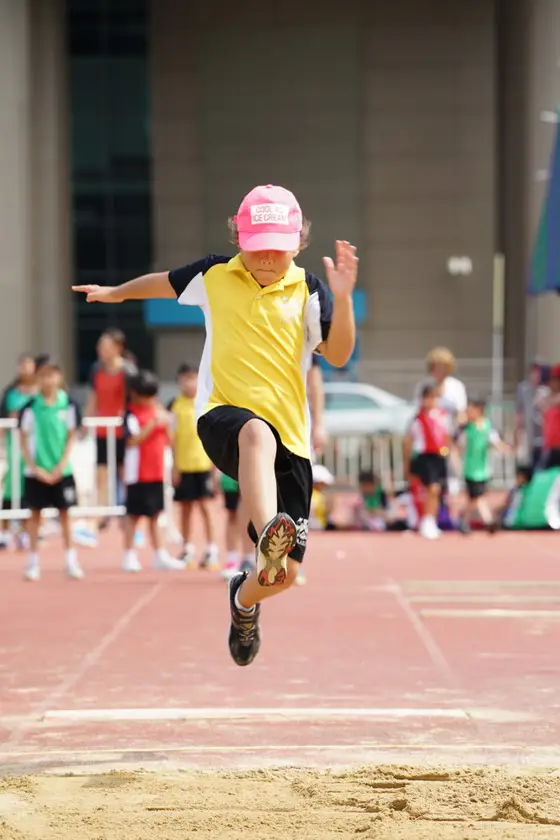 Traill International School — 写真は Google Maps 経由